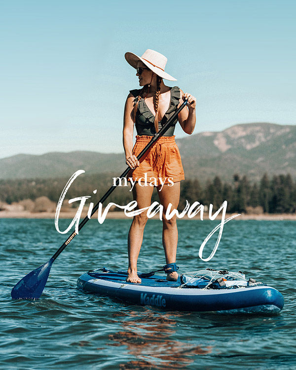 Social Media Feed Motiv 7